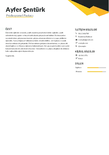 Pastacı Cv Örnekleri cv indir